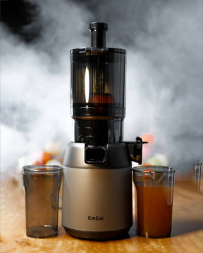 300W EmEst cold press juicer