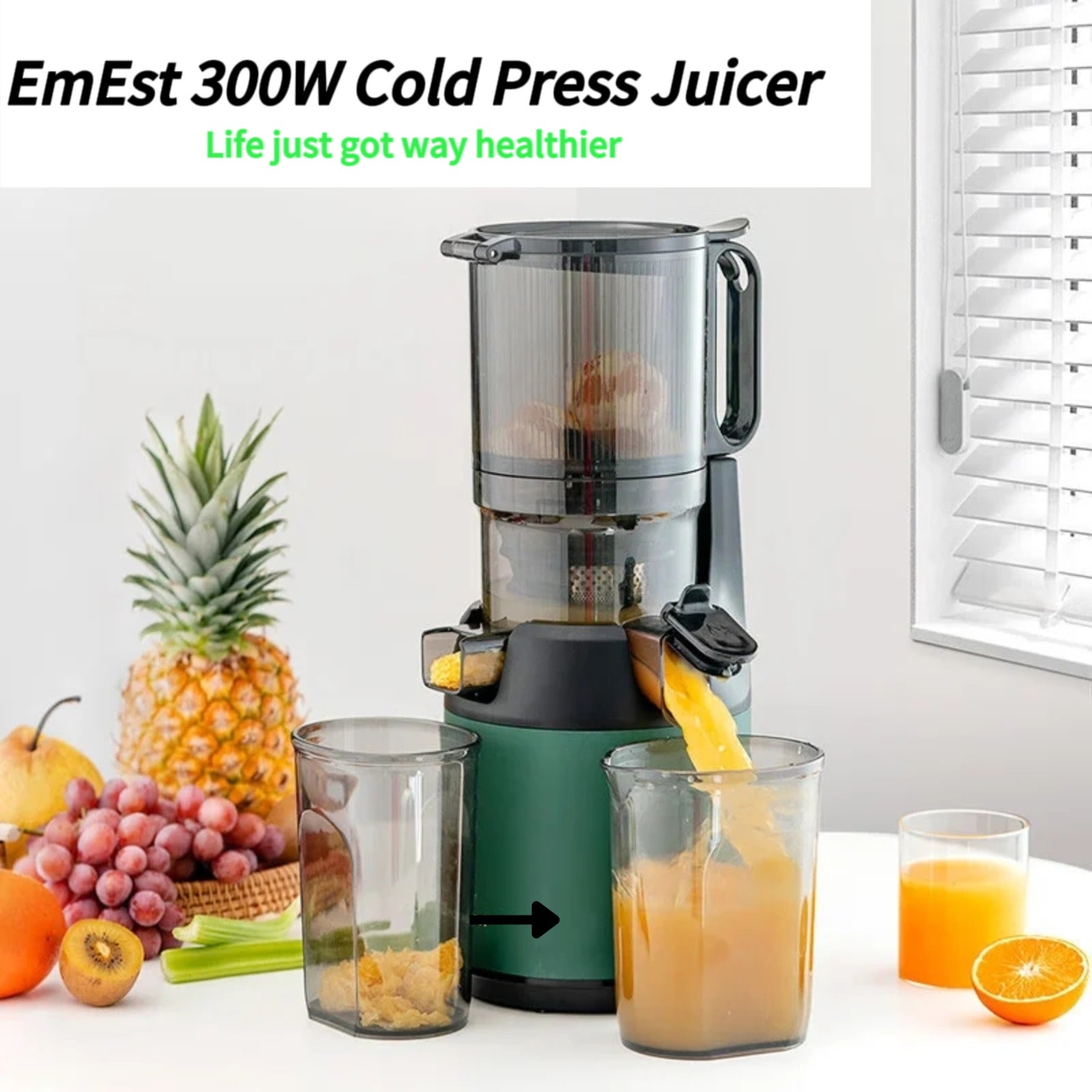 300W EmEst cold press juicer